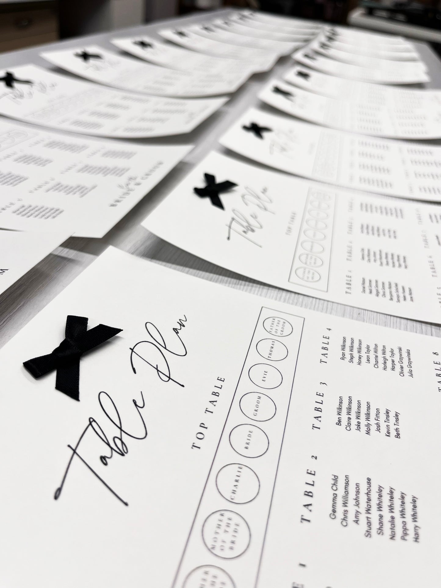 Wedding Order of the Day & Seating Plan Card